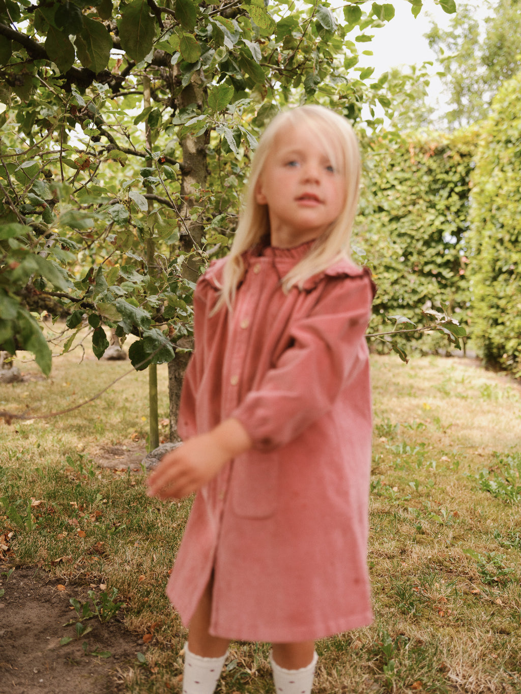 MILOU DRESS