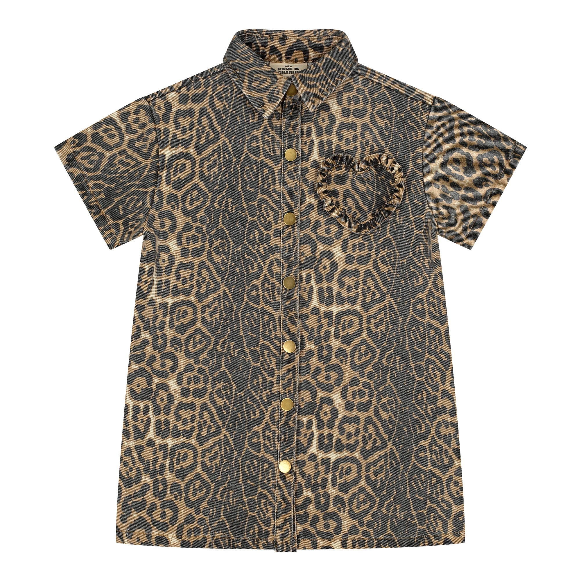 ROSE LEOPARD DRESS